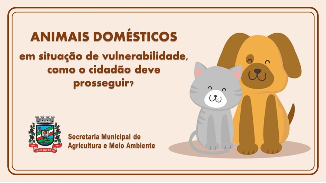 pet site.jpg